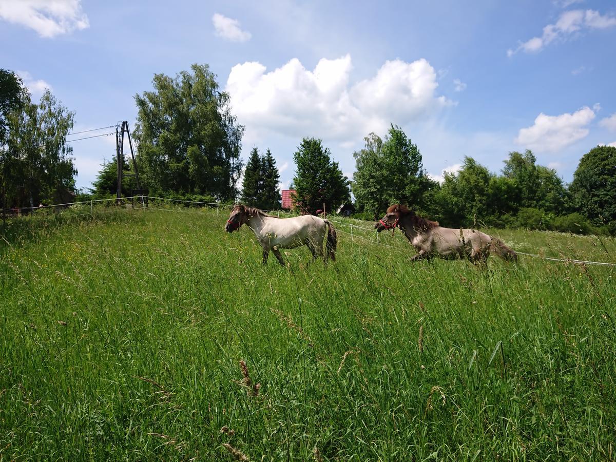 Cudne Manowce Daire Wetlina Dış mekan fotoğraf
